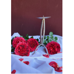 Silver-candle Stick